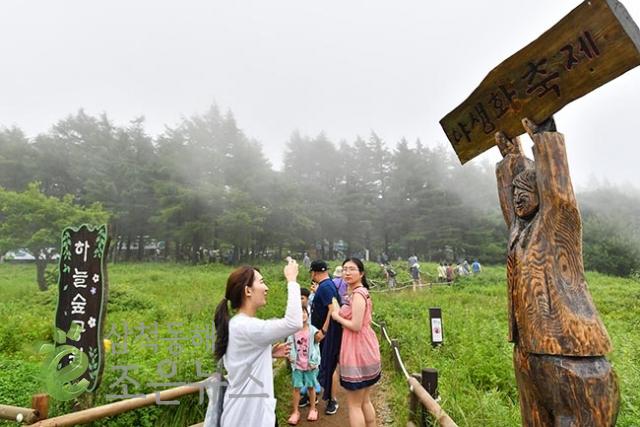 15 고한함백한야생화축제2.jpg